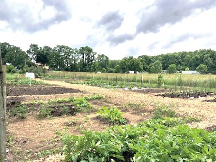 The Community Garden is located at 2410 State Road 47S, about one mile south of CHS; graciously hosted by property owners Brian and Susan Smith.